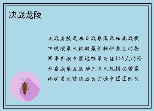 决战龙陵
